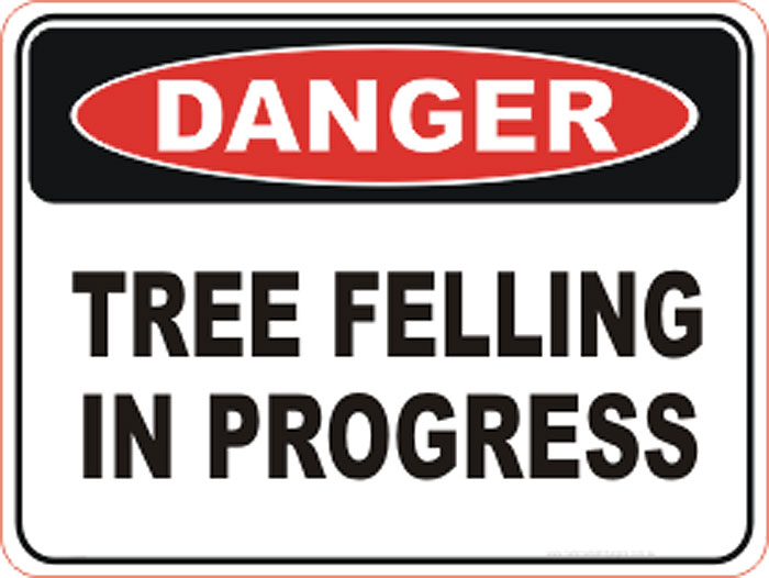 Access to Caminito del Rey closed due to tree felling